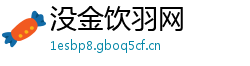 没金饮羽网